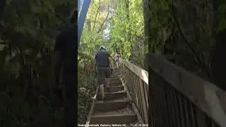 Bushwalk, Waitomo, Waikato, NZ 🌿 01.10.2026
