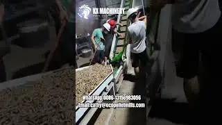 Biomass Rice Straw Wood Pellet Maker Rice Husk Wood Pellet Press Machine for Commercial