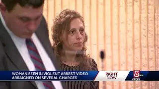 Woman in court after violent confrontation with police