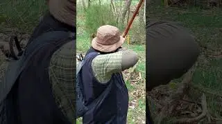 #primitive 3d #archery rotes Wildschwein #selfbow #Primitivbogen #Osage Orange #recurvebow #shorts