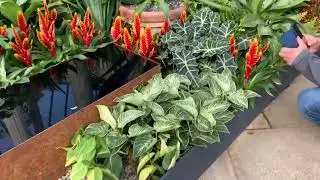 Temperate House:3, Kew Gardens UK