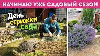 ⭐ВЗЯЛАСЬ ЗА СЕКАТОР. Пора стричь растения. Клумба от весны до зимы с фото