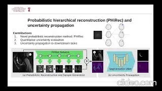 Uncertainty Estimation and Propagation in Accelerated MRI Reconstruction -  Paul Fisher