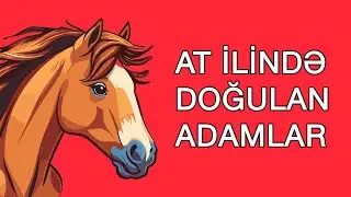 At ilinin xarakteri