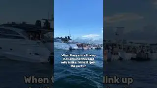 &lsquo;Mind if I join the party?&rsquo; #boat #boatlife #miami #party #goodvibes