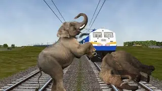 Crazy Elephant Sleeping at the Track Stops the Train । Train Simulator Ep 46