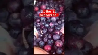 falsa khane ke fayde Urdu