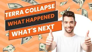 Terra Collapse: What Happened and What's Next