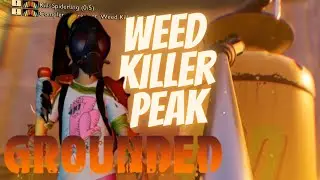 Complete Marker At Weed Killer Peak