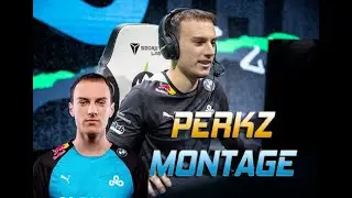PERKZ MONTAGE | BEST OF PERKZ