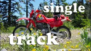 nicky goes down hill on single track