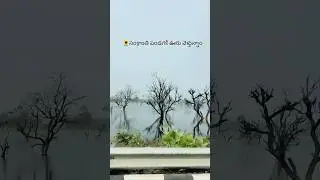 #sankranthi #shorts #ytshorts #youtubeshorts #trending #sankranti #travel #trendingshorts #festival
