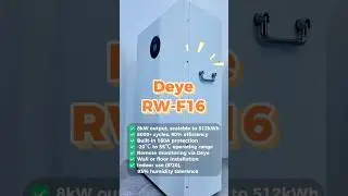 Deye RW-F16 Battery #deye #deyebattery