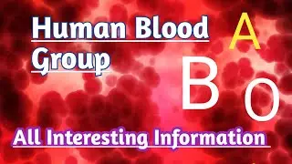 Human Blood Group System|| Human Blood Groups||4 Blood Groups A,B,AB,O