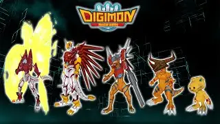 Agumon Evolution Line - Digimon Masters Online