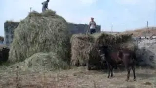 Kars verimli Hacı mıho köyü