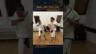 MUAI - Tech Application File 346 (Berlin, 2017) #Pahuyuth #Muai #Martialarts