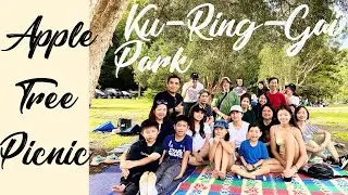 Apple Tree Picnic Area | Ku-Ring-Gai Chase National Park