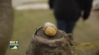 Caught Doing Something Good: Shenandoah Valley Rock Painting Group