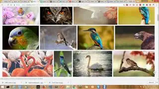 top photos website   - download hd image free   100%