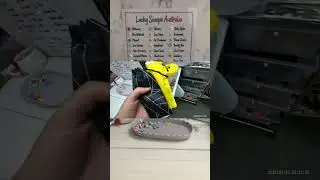 Lucky Scoop order for Donna 0689