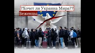 Хочет ли Украина мира? И какие события в ближайшее время могут повлиять на приём беженцев?