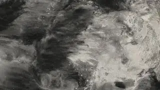 Thrupence - Forest On The Sun