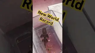 Безумный рекордсмен по ловле сома