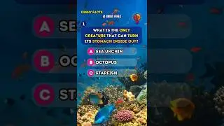 Funny Facts Quiz. Comment your score! General Knowledge Questions and Answers. Daily Trivia 🧠✅