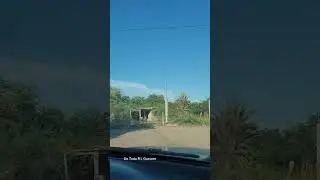 Roberto Barrios Guasave Sinaloa 