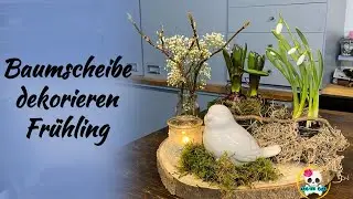 Frühlingsdeko 2024 | Baumscheibe dekorieren Frühling