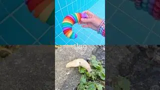 Тони или плыви | Названия насекомых для детей, которые можно выучить под водой: лист, жук, слизен...