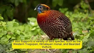 Preserving Himalayan Biodiversity: The Greater Himalayan National Park Conservation Area