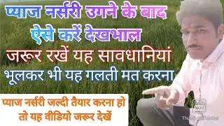 प्याज नर्सरी उगने के बाद ऐसे करें देखभाल और सुरक्षा || pyaj nursery ki aise Karen dekhbhal