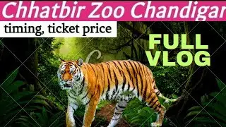 Chhatbir Zoo Chandigarh  zirkapur 2023 full  information about timing, tickets price,( part-1) #zoo