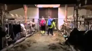 Probably the best Pit Stop entrance in Amazing Race history