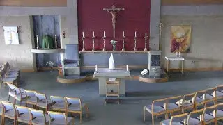 Saturday 6pm Vigil Mass 31.1.2026