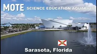 The New Mote Aquarium Sarasota &ndash; Stunning 4K Cinematic Tour (Captions + Great Music)