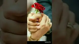 VELANTAINS DAY 🧕🏻🌹🧕🏻#14FEBRUARY#trendingshorts #love #life #SHORTS #VIRALSHORTS #pathofpeace