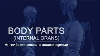 Английские слова методом ассоциаций. Body parts (3 часть).