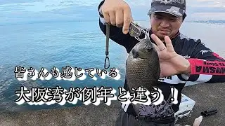 大阪湾が良くならない・・ですよね皆さん。
