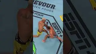 Charles Oliveira's TKO vs. Michael Chandler | UFC 262