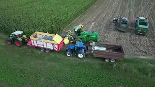 silaža koruze kmetija Rotovnik -corn silage farm Rotovnik (Adrinek)