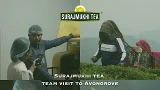 Avongrove Tea Estate visiting by the Digital Team of Surajmukhi Tea Private Limited