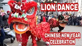 Chinese New Year Celebration Lion Dance | Birmingham Chinese New Year Festival | LION DANCE
