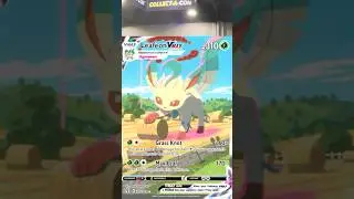 Buying an Evolving Skies ALT ART in Atlanta Collect a Con #pokemon #pok&eacute;mon #collectacon #tcg