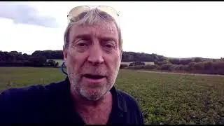 AberChianti Red Clover Seed Crop