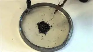 Self Assembling Wires