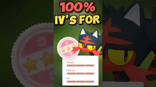 100% IVs for Litten in Pok&eacute;mon Go!