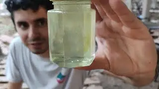 Cosecha de miel transparente de Melipona 🍯🐝 | Algunos consejos